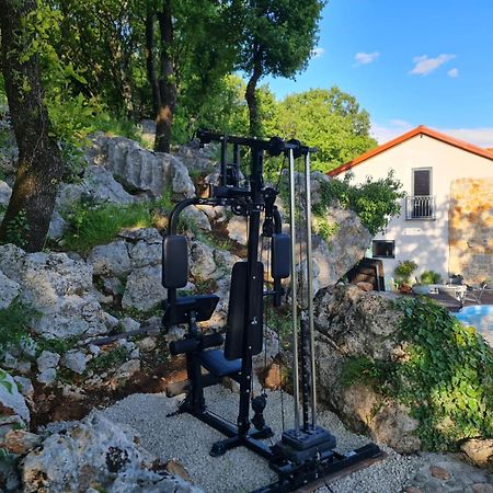 Villa Kamen Ledenice Exteriér fotografie
